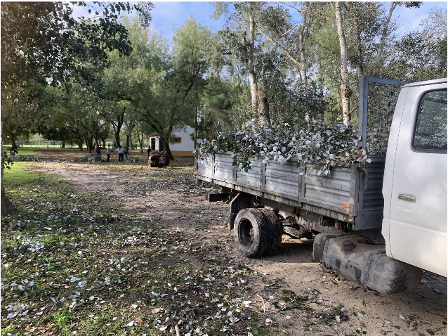 Imagem Trabalhos de Limpeza e Manutenção no Parque de Merendas