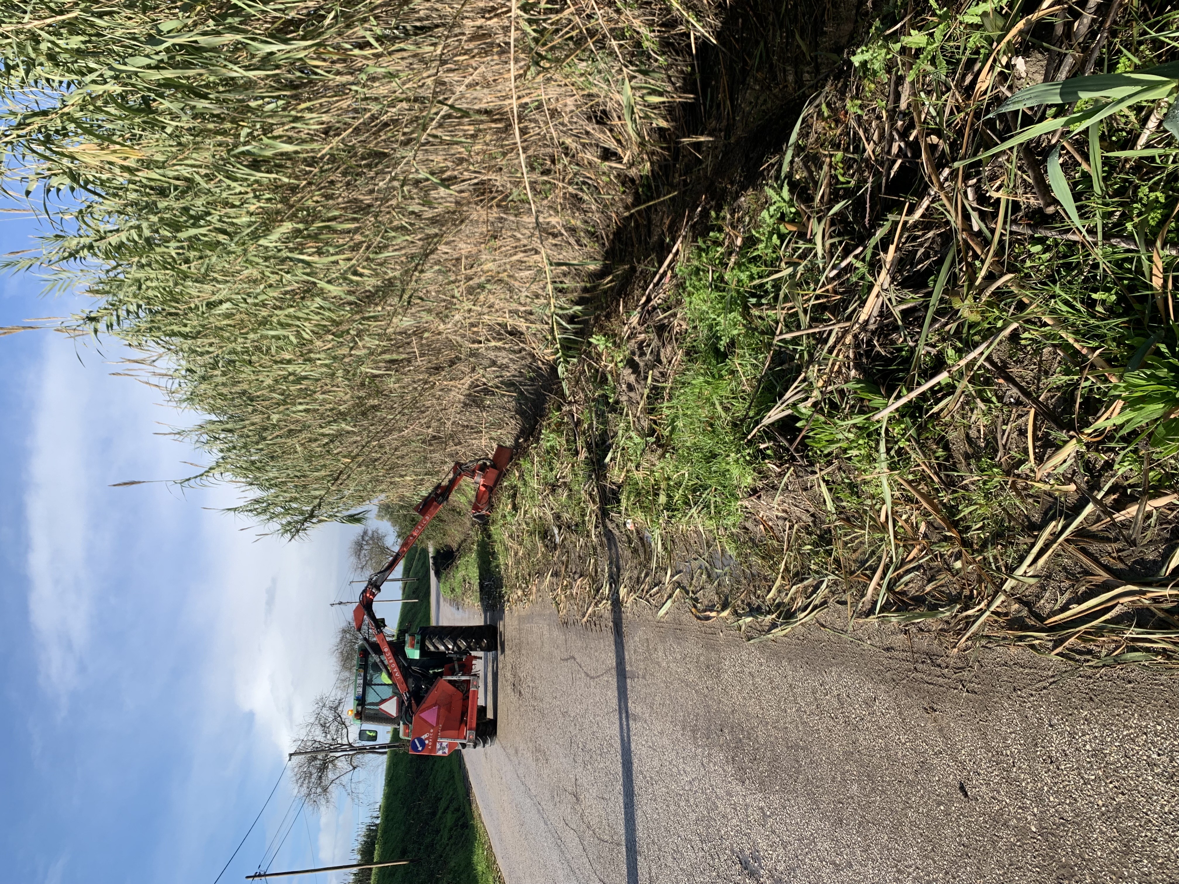 Imagem Continuação da limpeza das linhas de água