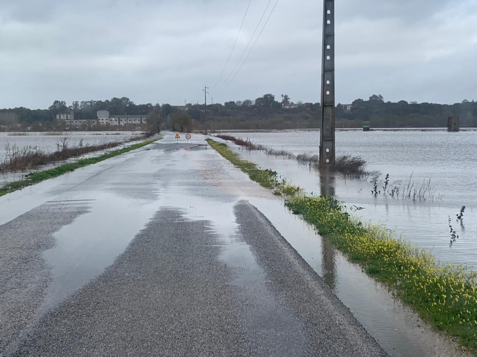 Imagem Atualização às 12h00