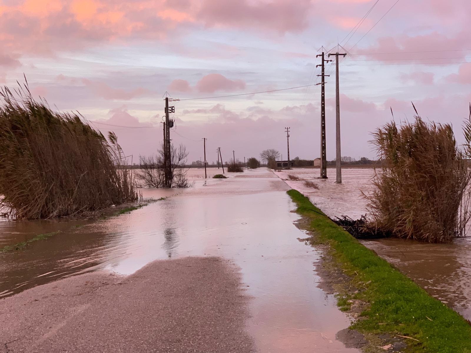 Imagem Atualização