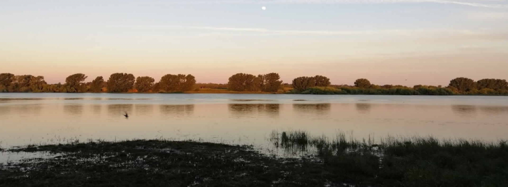 Banner Banner 1 - MEDIDA: 1920 X 710 pixéis